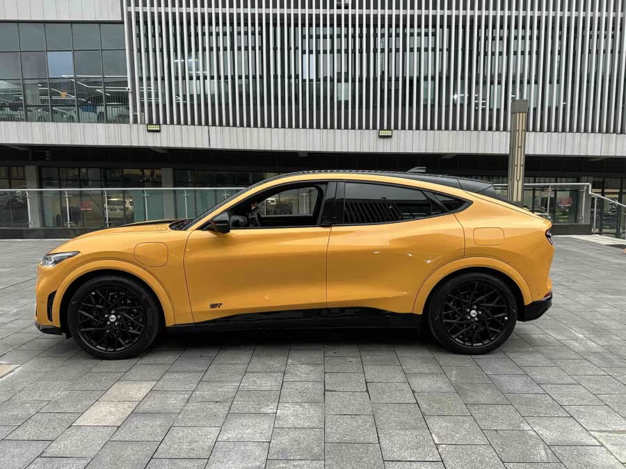 Ford Mustang Mach-E 2023 car image #20