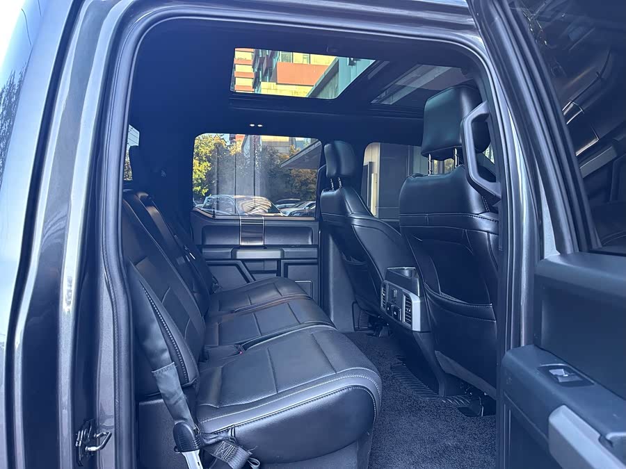 Ford F-150 Raptor 2019 car image #20