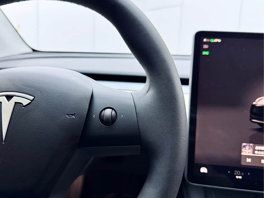 Tesla Model Y 2023 car image #20