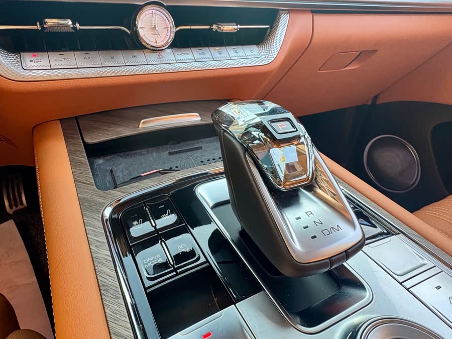 Tank 500 New Energy 2024 car image #20