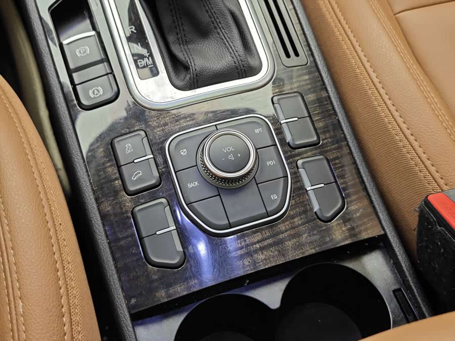 Haval H6 Coupe 2016 car image #20