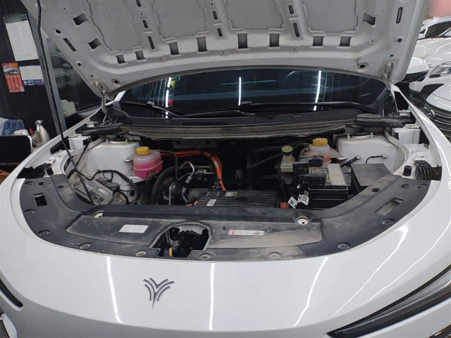 Neta X 2024 imagem de carro #20