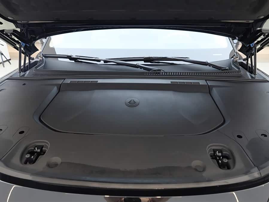 Denza N9 2025 car image #20