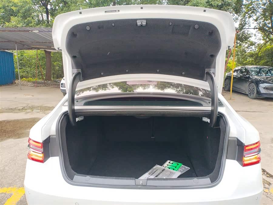 BYD Qin Pro New Energy 2021 car image #20