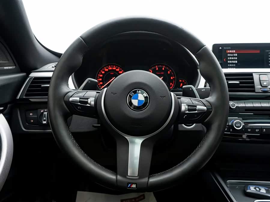 BMW 3 Series GT 2019 car image #20