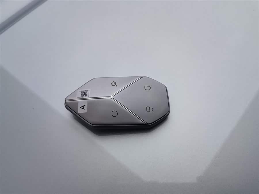 FangChengBao Leopard 8 2024 car image #20