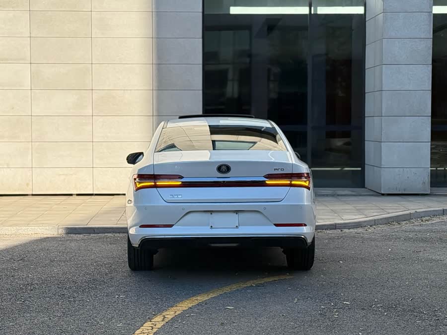 BYD Qin Pro New Energy 2018 car image #20