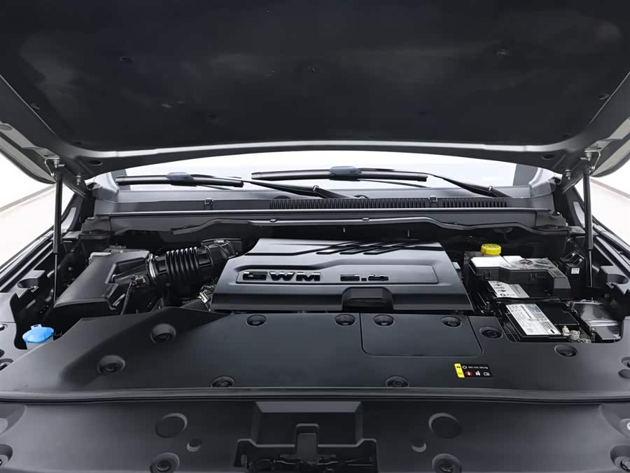 Great Wall Shanhai Pao 2023 #20 Great Wall Shanhai Pao 2023 car image #20