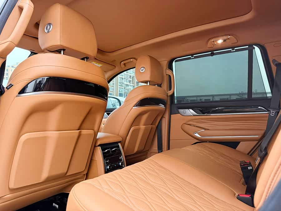 Tank 500 New Energy 2024 immagine di auto #20