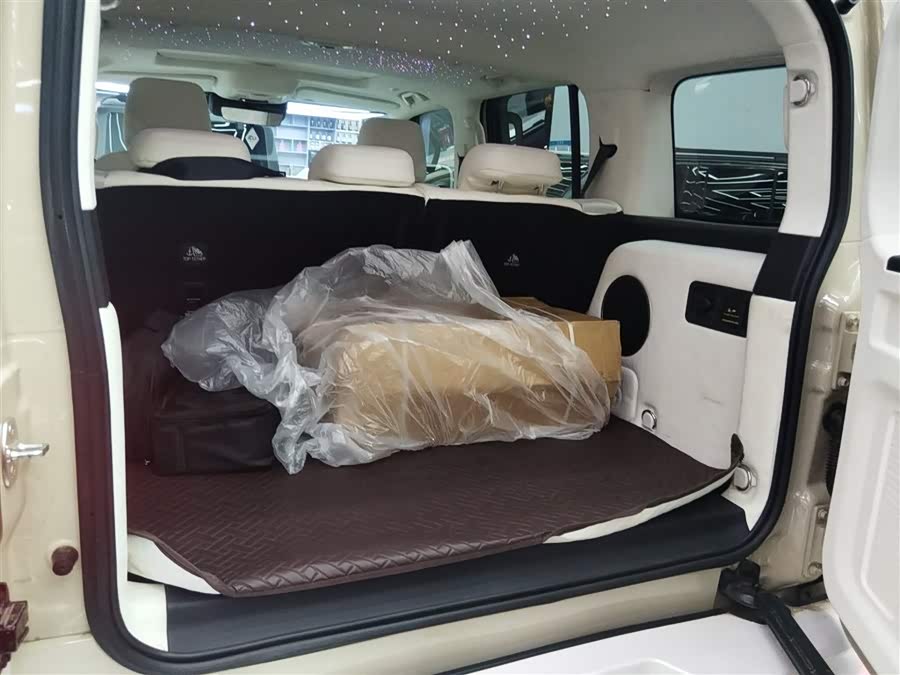 Tank 300 New Energy 2025 imagem de carro #20