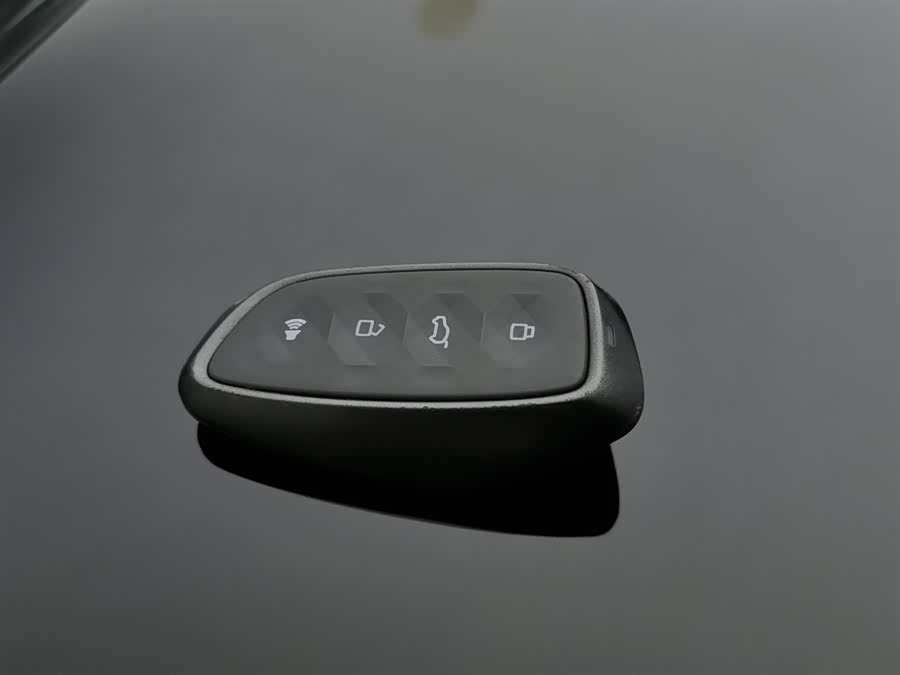 Haval Raptor New Energy 2023 car image #20