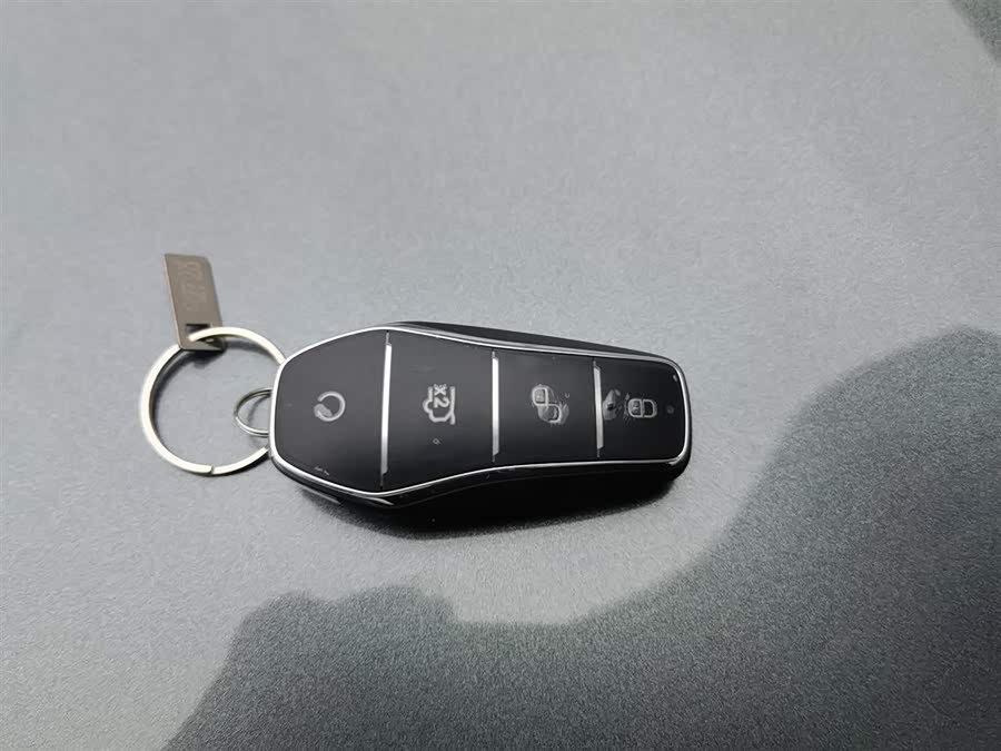 BYD Tang L 2025 car image #20