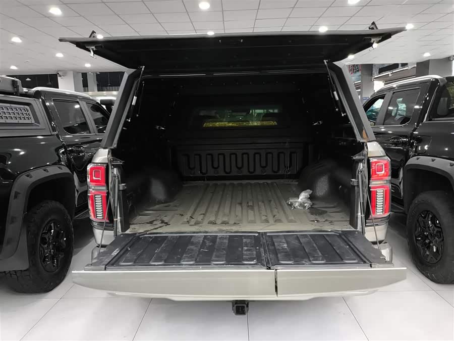 Great Wall Shanhai Pao 2023 car image #20