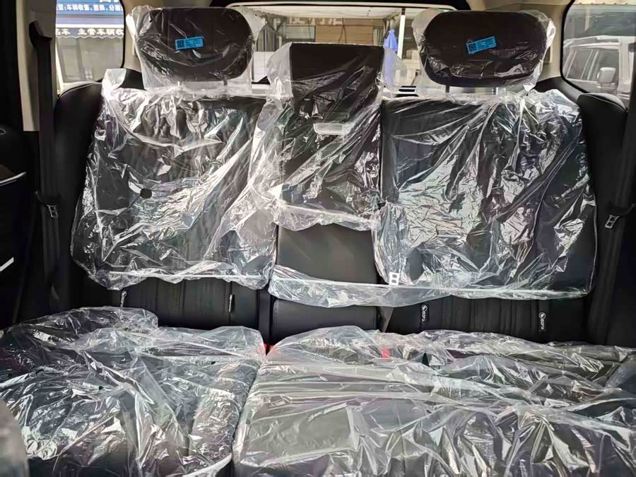 Tank 500 New Energy 2025 immagine di auto #20