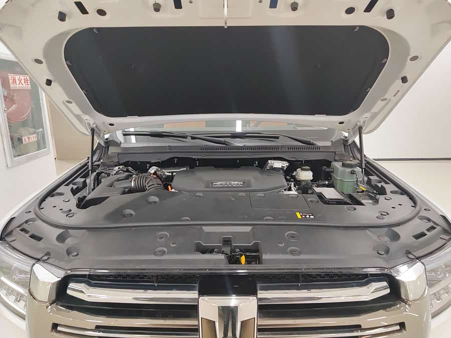 Tank 500 New Energy 2024 #20 Tank 500 New Energy 2024 car image #20