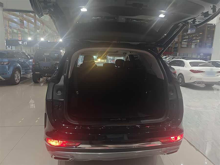 Jetour X95 2020 car image #20