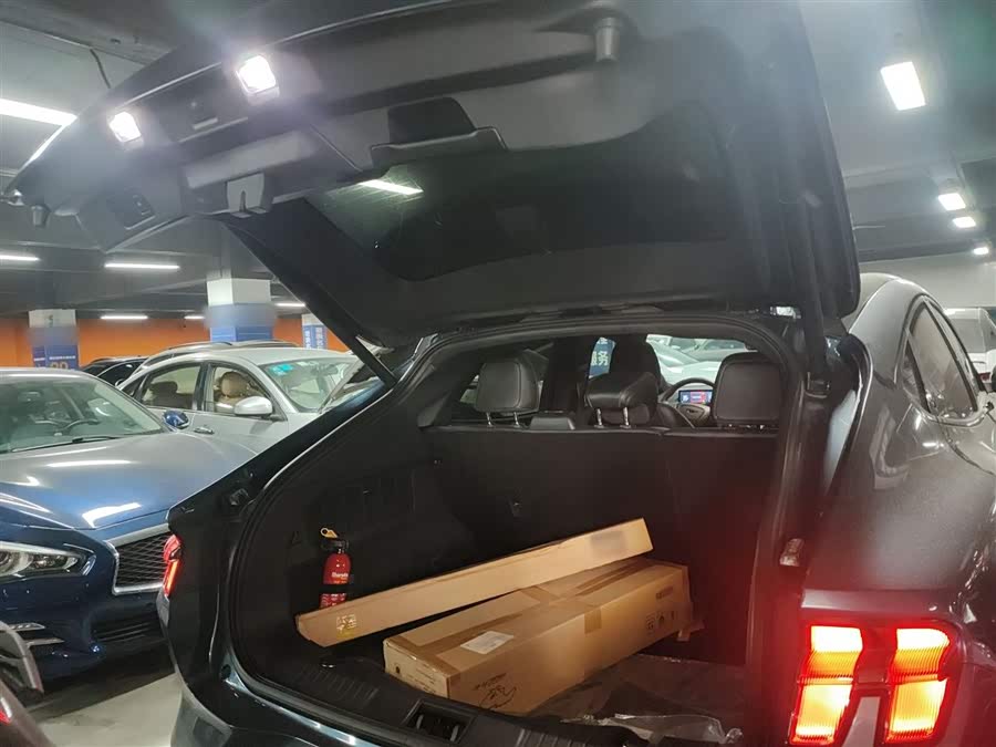 Ford Mustang Mach-E 2023 car image #20