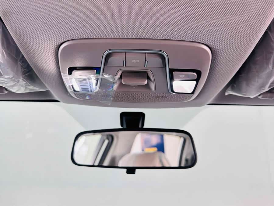 GEELY OkavangoPRO 2025 car image #20