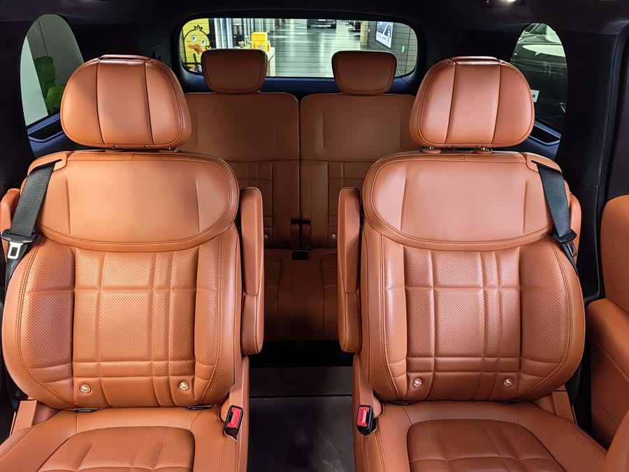 Deepal S09 2025 immagine di auto #20