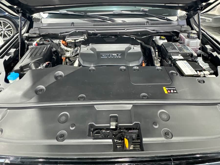 Tank 500 New Energy 2023 car image #20