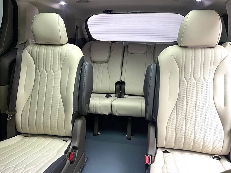 Kia Carnival 2024 immagine di auto #20