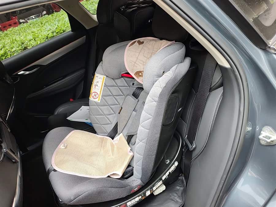 GEELY Tugella New Energy 2019 car image #20