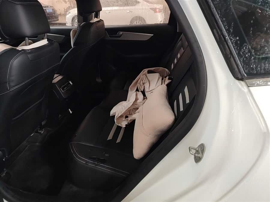 BYD Qin Pro 2018 car image #20