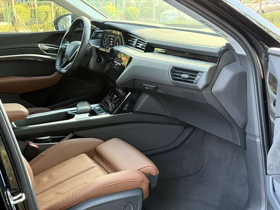 Audi e-tron (Imported) 2022 car image #20