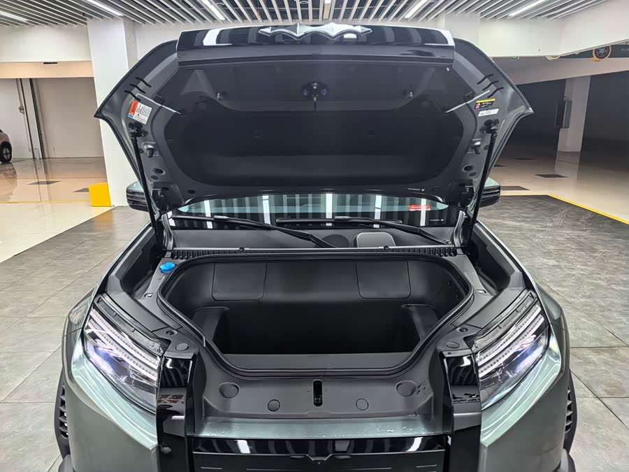 FangChengBao Tiger 3 2025 #20 FangChengBao Tiger 3 2025 car image #20