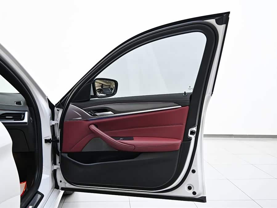 BMW 5 Series New Energy 2022 car image #20