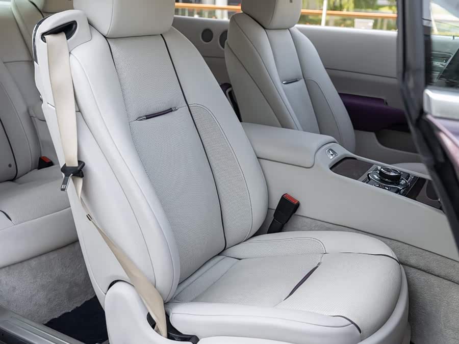 Denza Wraith 2018 immagine di auto #20