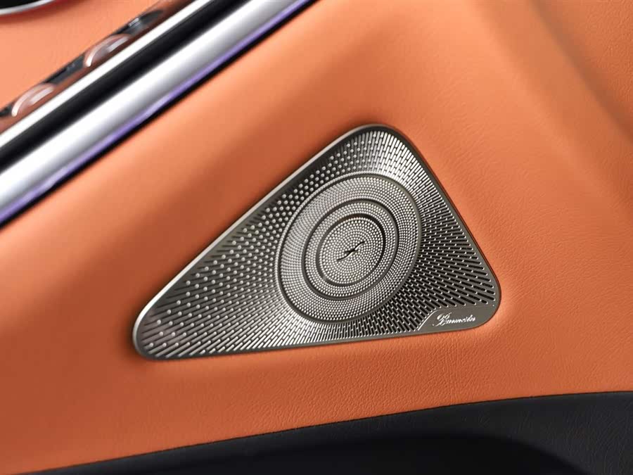 Mercedes-Benz S Class 2021 car image #20