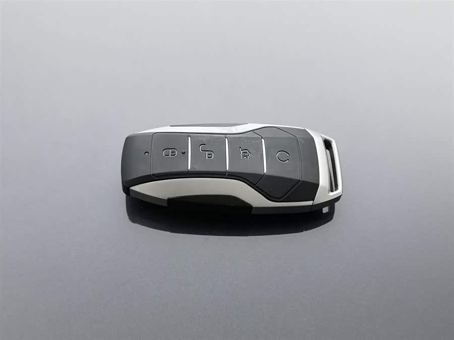 BYD Tang 2020 image de voiture #20