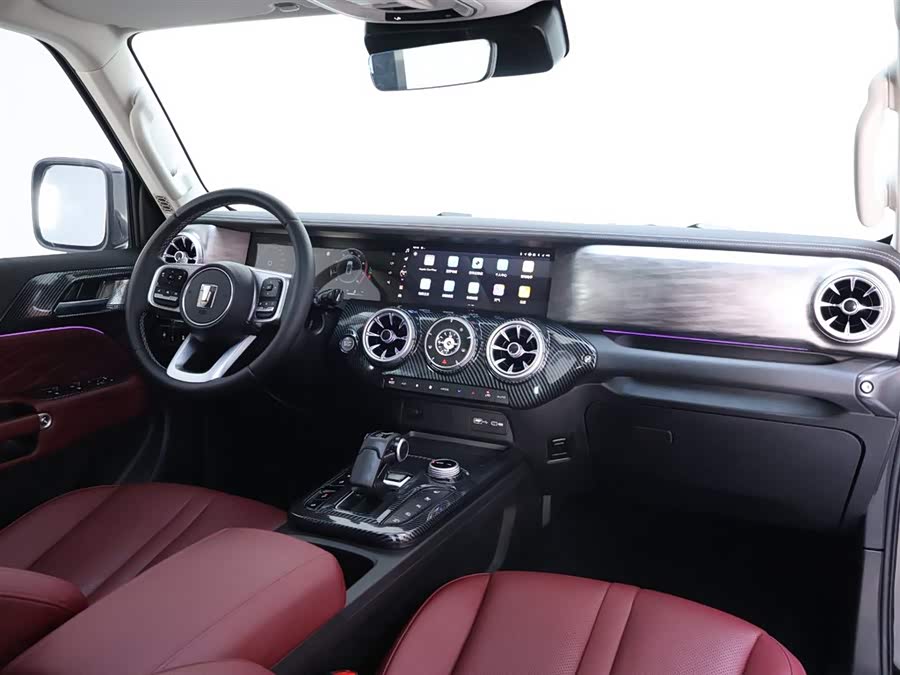 Tank 300 2024 car image #20