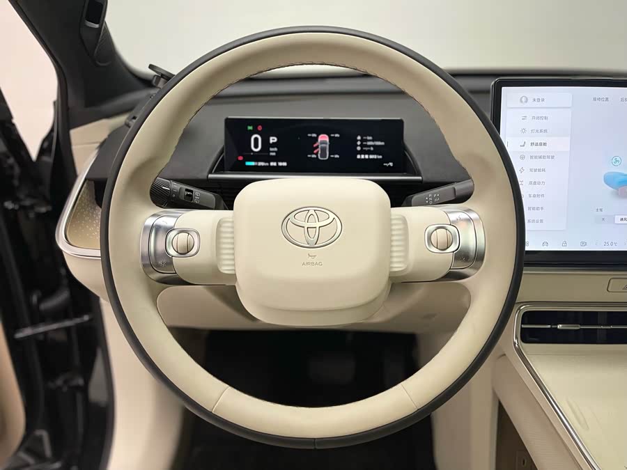 Toyota Bozhi 3X 2025 immagine di auto #20