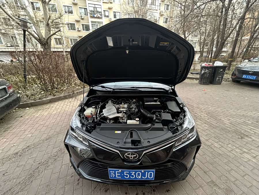 Toyota Corolla 2022 #20 Toyota Corolla 2022 car image #20
