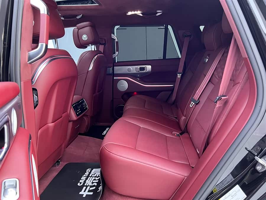 Tank 700 New Energy 2024 #20 Tank 700 New Energy 2024 imagen de coche #20