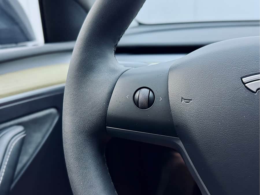 Tesla Model Y 2023 car image #20