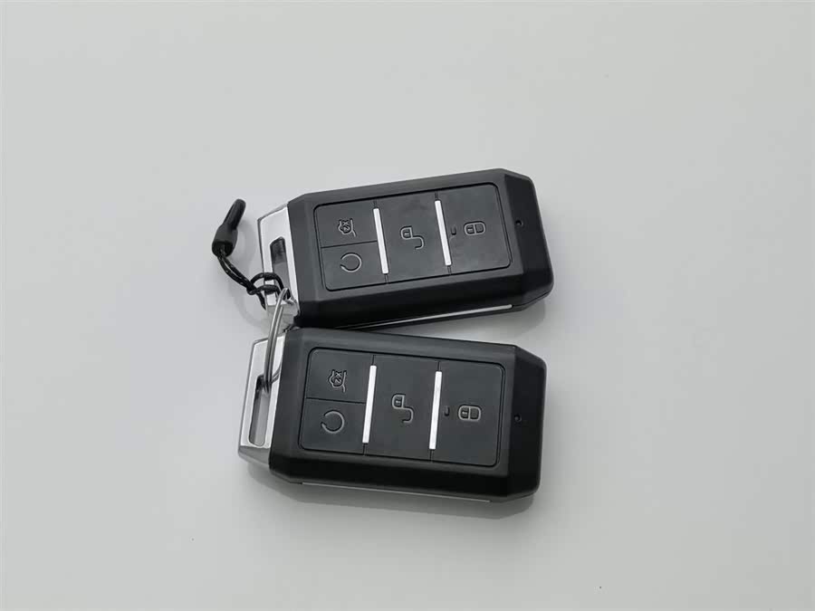 BYD e2 2019 #20 BYD e2 2019 immagine di auto #20