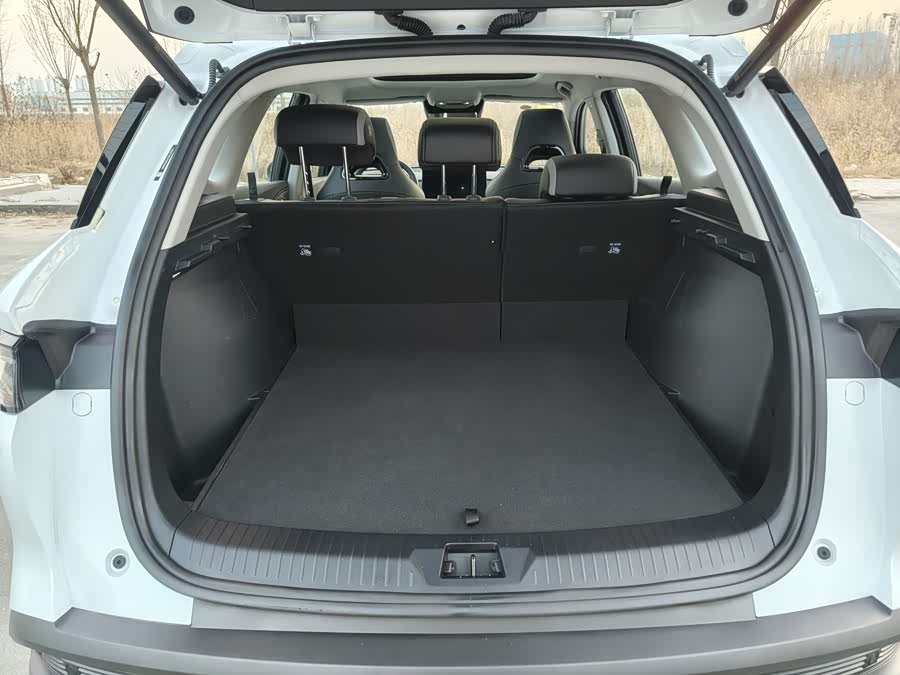 BYD Sea Lion 05 DM-i 2025 car image #20