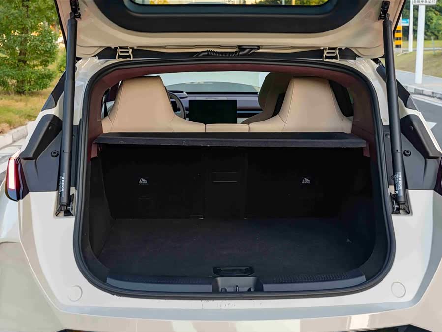 Zeekr X 2024 car image #20