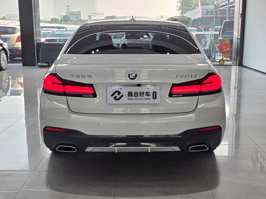 BMW 5 Series 2021 car image #20