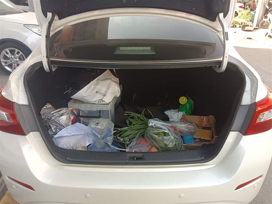 日产 轩逸·纯电 2019 汽车图片 #20