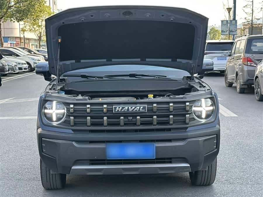 Haval Dargo 2023 immagine di auto #20