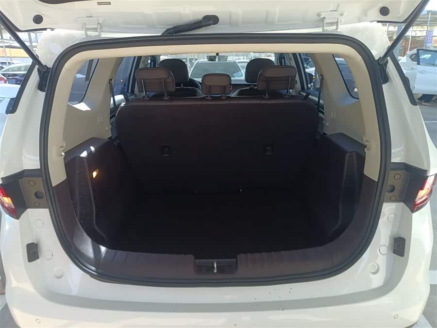 睿蓝汽车 枫叶80v 2021 汽车图片 #20