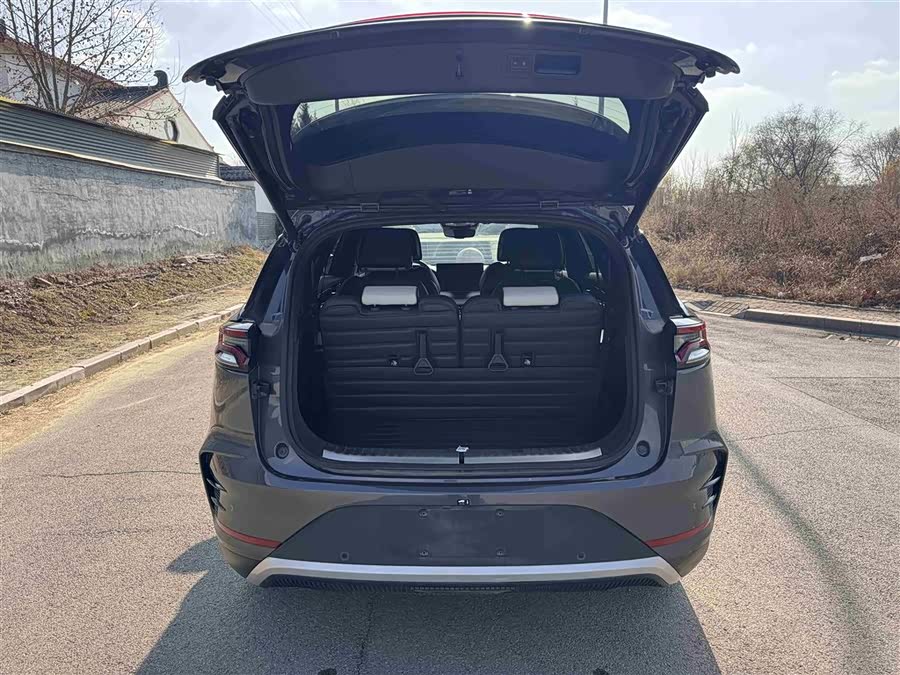 比亚迪 唐新能源 2023 汽车图片 #20