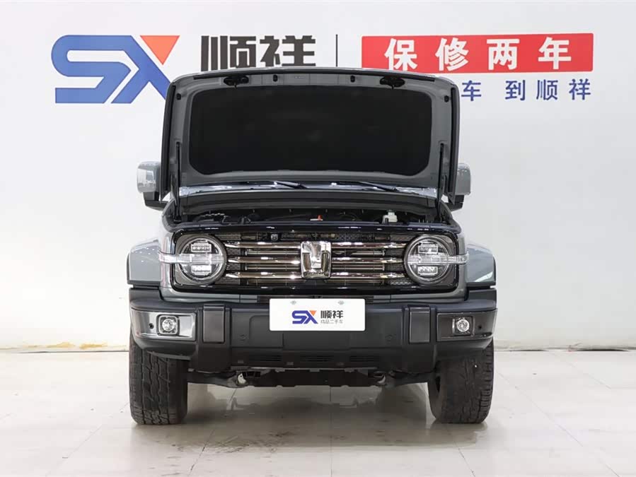 坦克 坦克300 2022 汽车图片 #20