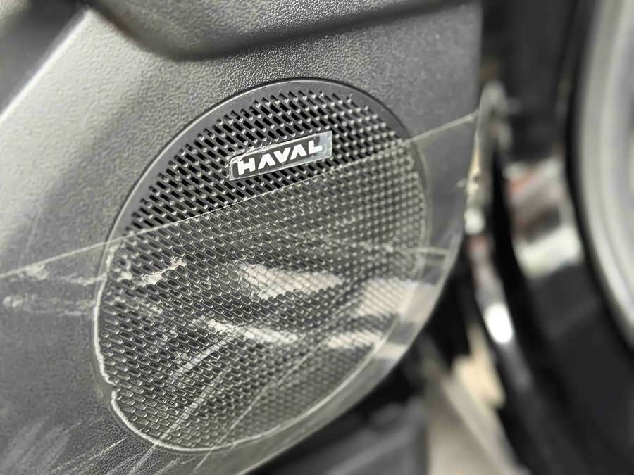 Haval Raptor New Energy 2024 car image #20