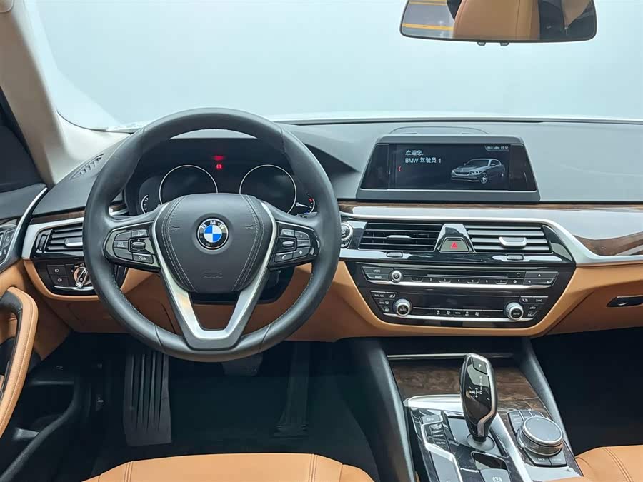 BMW 5 Series 2017 car image #20