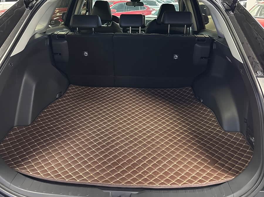 Kia Wildlander 2022 car image #20